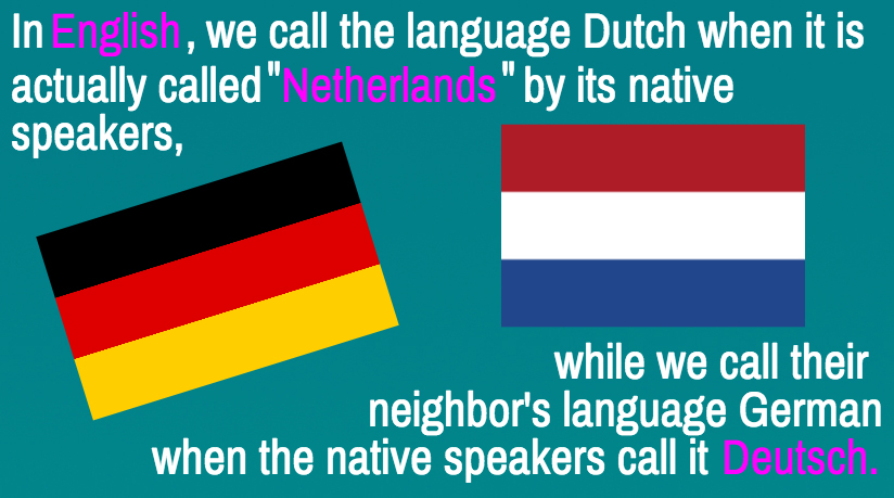 Language facts image7